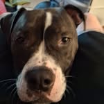 Scott Reisinger - @simplypocolisious - Instagram