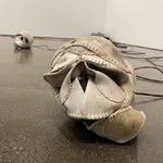 Scott Reitz - @scottreitz - Instagram