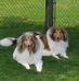 Scott Reitz - Facebook