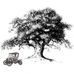 Scott Reitz - Genesi Motors, Inc. - Facebook
