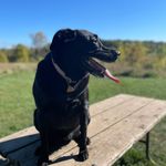 Scott Renshaw - @sarensha - Instagram