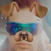 scottreprogle2🦆 - @scott.reprogle72 - TikTok