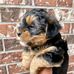 Scott Rhoades - Facebook