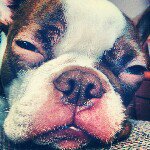 Scott Rhoten - @rhoten80 - Instagram