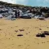 Scott Rickards - @scottrickards26 - TikTok
