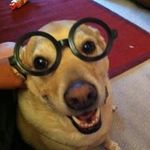 scott Rickel - @scottrickel - Instagram