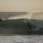 Scott Riddell - @scottgriddell - Instagram