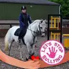scottriddell375 - @scottriddell375 - TikTok