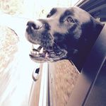 Scott Rife - @scottr5252 - Instagram