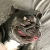 Scott Trigg - @i_follow.back_._ - TikTok