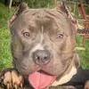 Scott Triggs - @scott.triggs - TikTok