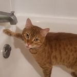 Scott Riker - @siriker - Instagram