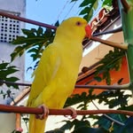 scott.ringneck - @scott.ringneck - Instagram