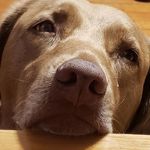 Scott Risch - @csdbiz - Instagram