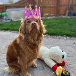 Scott Rist - @parks1161 - Instagram