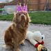 Scott Rist - Facebook
