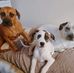 Scotty Ritson - Facebook