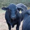 Scott Robichaud - @scott.robichaud - TikTok