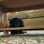Scott Roden - @dscottroden - Instagram