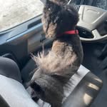 Scott B Rodenbaugh - @scottbrodenbaugh - Instagram