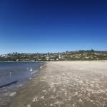 Maxsbunch - @scottrogerson - Instagram