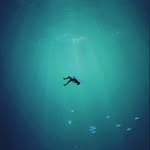 scott rogerson - @scottrogerson3 - Instagram