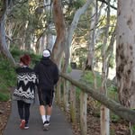 Scott Rogerson - @scottrogerson8 - Instagram