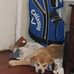 Scott Rohl - Facebook