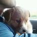 Scott Rohleder - Facebook