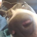 Scott Rolston - @scott_rolston122 - Instagram