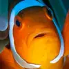 Whereismyson - @scottrookyard - TikTok