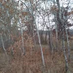 Scott Ross - Facebook
