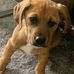 Scott Rothman - Facebook