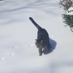 Scott Rozsa - @scottrozsa - Instagram