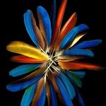 Scott Ruffner - @big_scott986 - Instagram