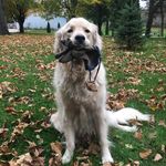 Scott Rustad - @scottru13 - Instagram