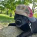 Scott Sabin - Facebook