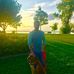 Scott Salamone - Facebook