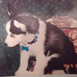 Scott Salerno - @scott.salerno.31 - Instagram