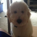 Scott Salerno - @scott082182 - Instagram