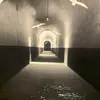 scottsalerno808 - @scottsalerno808 - TikTok