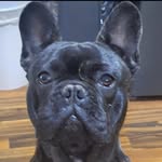 Scott Sales - @scott.sales - Instagram