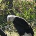 Scott Saless - Facebook