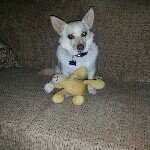 Scott Sallee - @scottsallee - Instagram