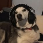 Scott Samuelson - @scottsamuelson72 - Instagram