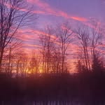 Scott Sanger - @twoangelsdad - Instagram
