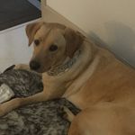 Scott Sanson - @ssanson314 - Instagram