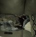 Scott Sather - Facebook