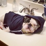 @scott_satowu - Instagram