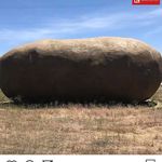 scott - @scott_wit_da_sauce - Instagram